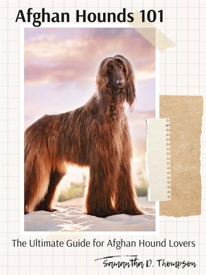 cover image of Afghan Hounds 101--The Ultimate Guide for Afghan Hound Lovers